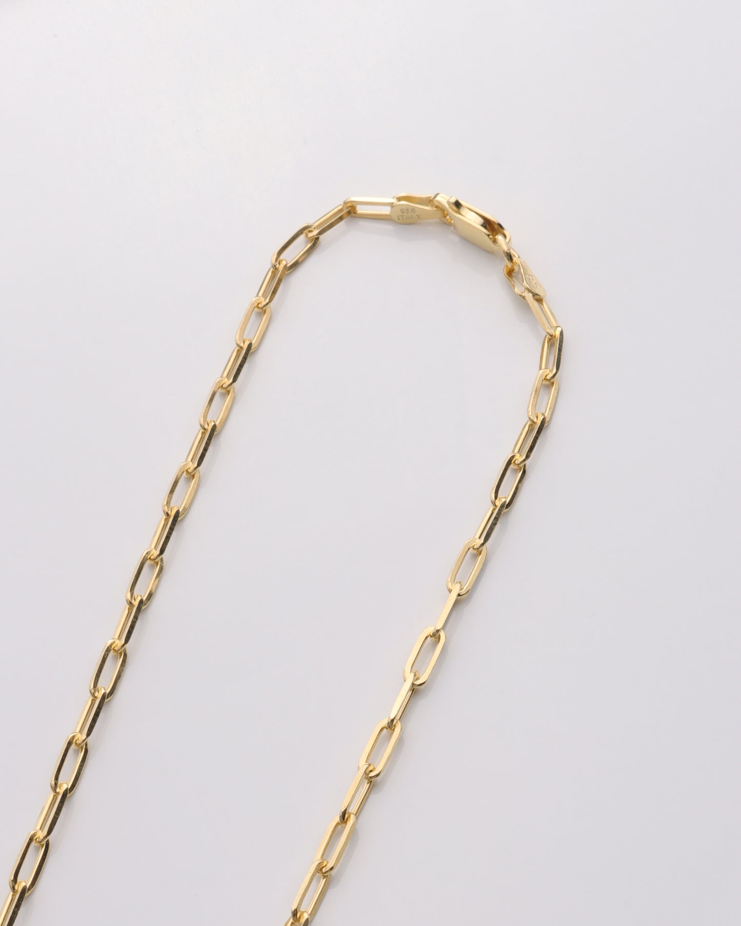 Illiana Horn Charm Necklace