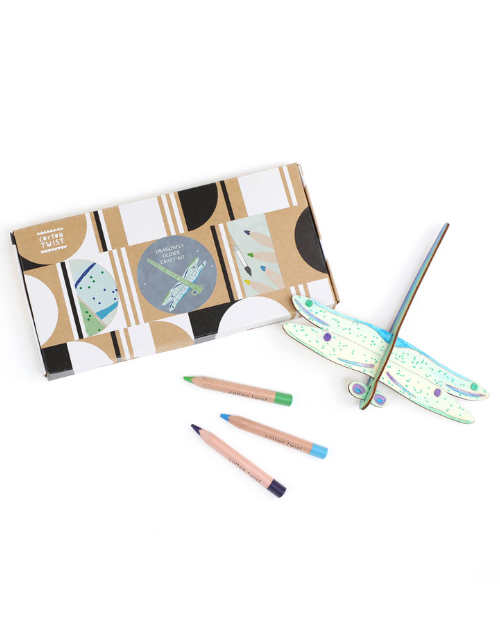 Make Your Own Dragonfly Glider Activity Kit