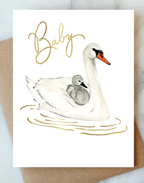 Swans Baby Greeting Card | New Mon