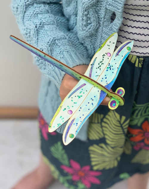 Make Your Own Dragonfly Glider Activity Kit