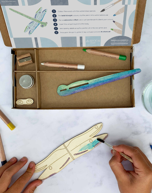 
                  
                    Make Your Own Dragonfly Glider Activity Kit
                  
                