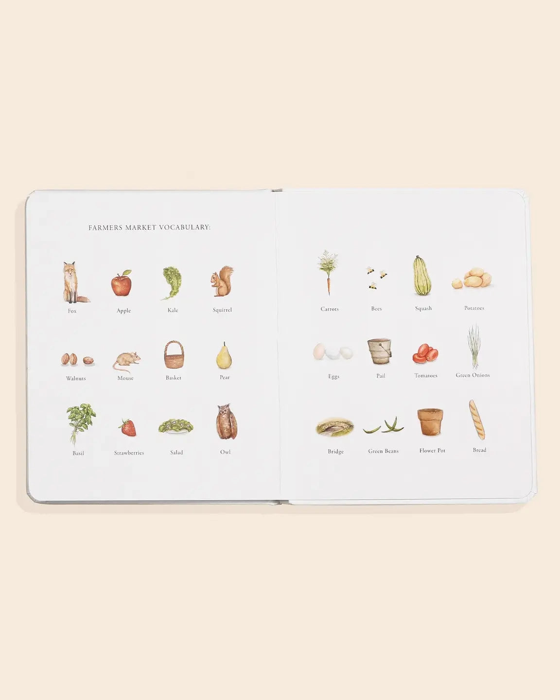 Our Little Adventure To The Farmers Market Board Book