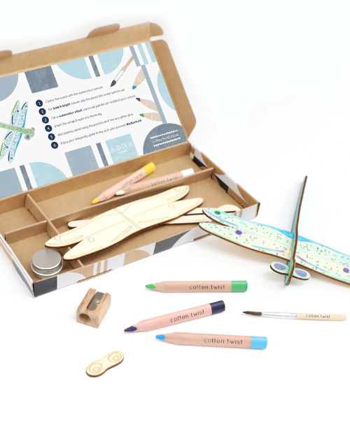 
                  
                    Make Your Own Dragonfly Glider Activity Kit
                  
                