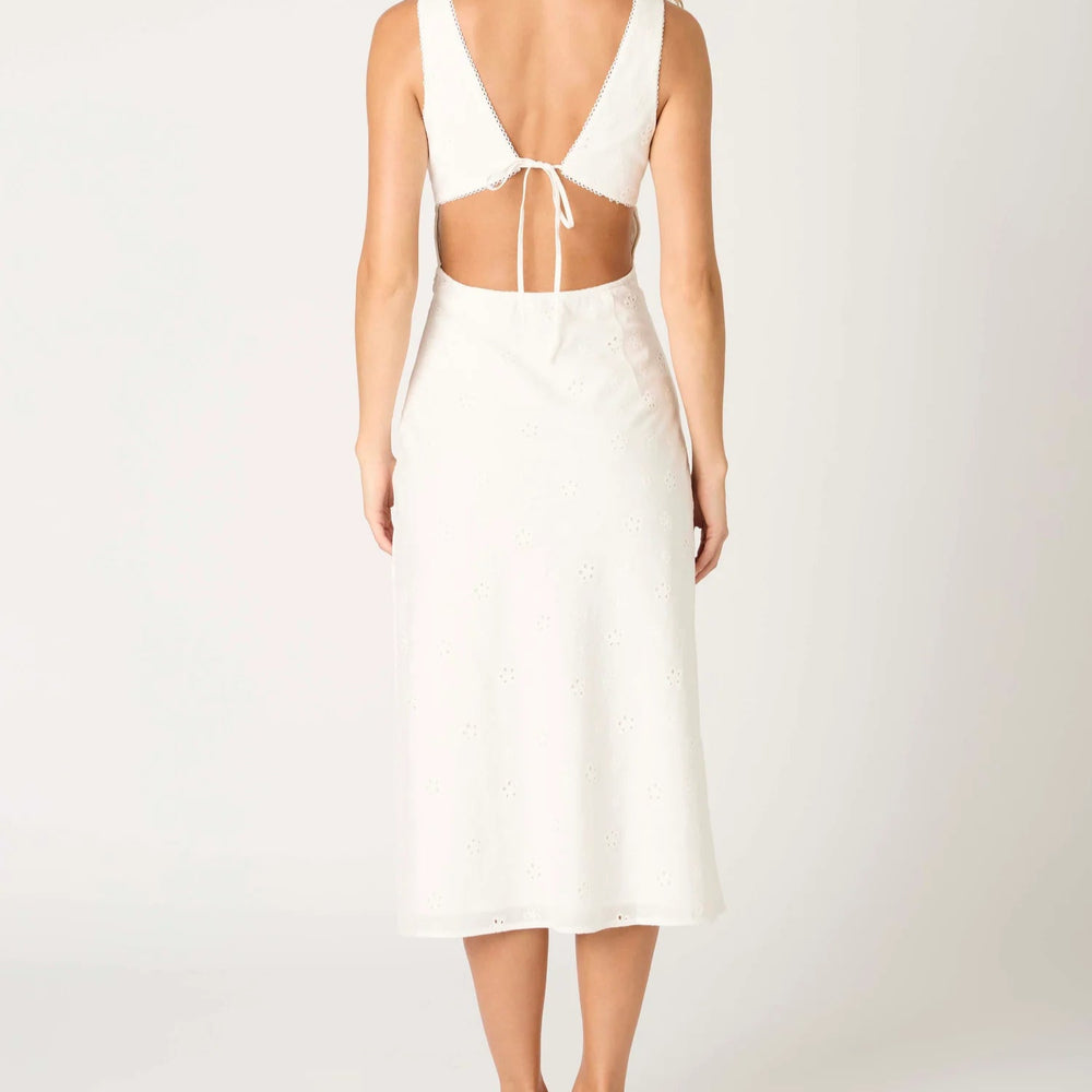 
                  
                    Shane Dress
                  
                