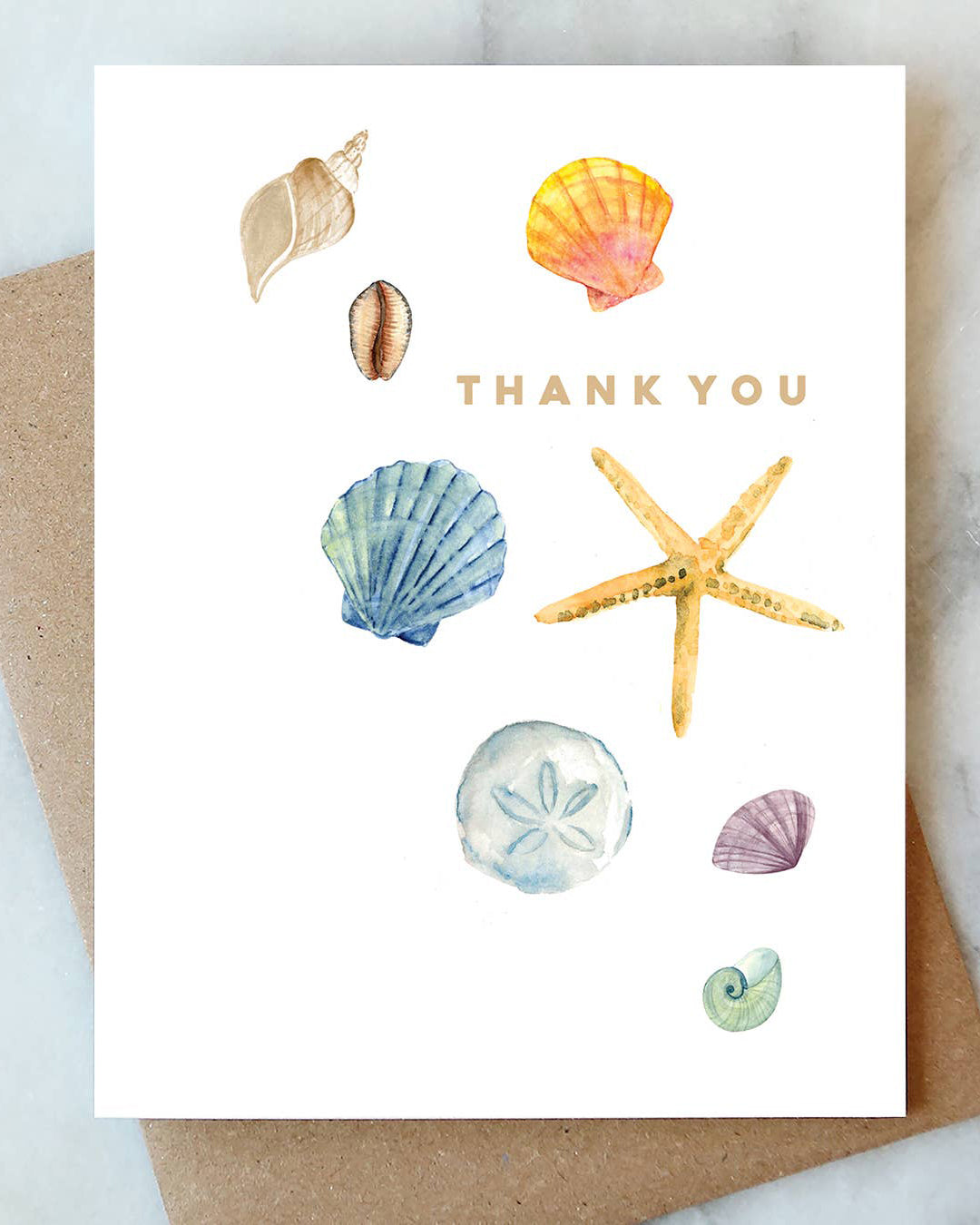 Shells Thank You Greeting Card