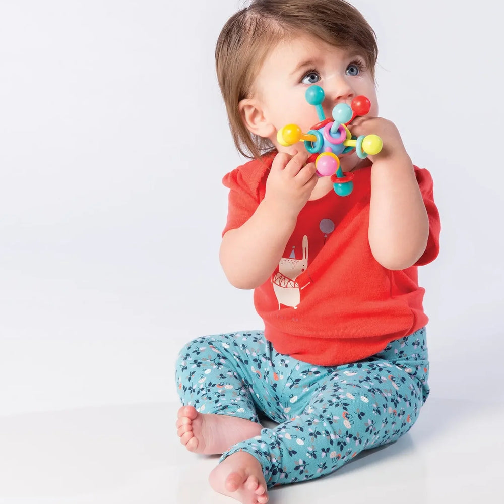 
                      
                        Atom Teether Toy
                      
                    